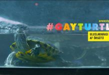 Haber | Sosyal Deney: Türkiye`de Bir Pet Shop`ta Satılan 